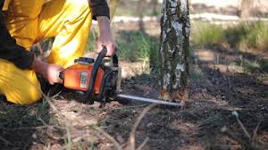 Best Weed Control  in Waverly, NY