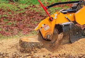 Best Pest Control for Lawns  in Waverly, NY